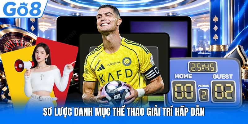 Sơ lược danh mục thể thao giải trí hấp dẫn Sơ lược danh mục thể thao giải trí hấp dẫn